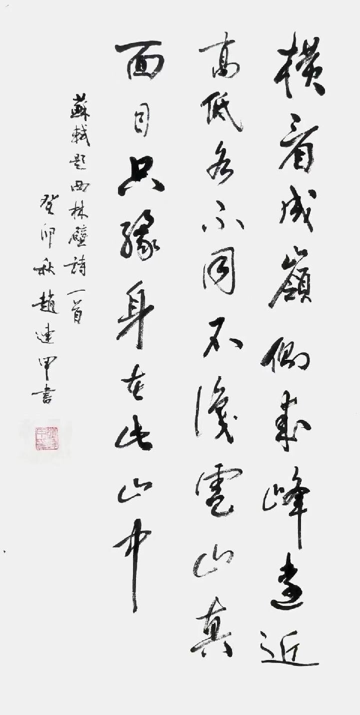 二十一世纪艺术名家推荐收藏指南——赵连甲(图8)